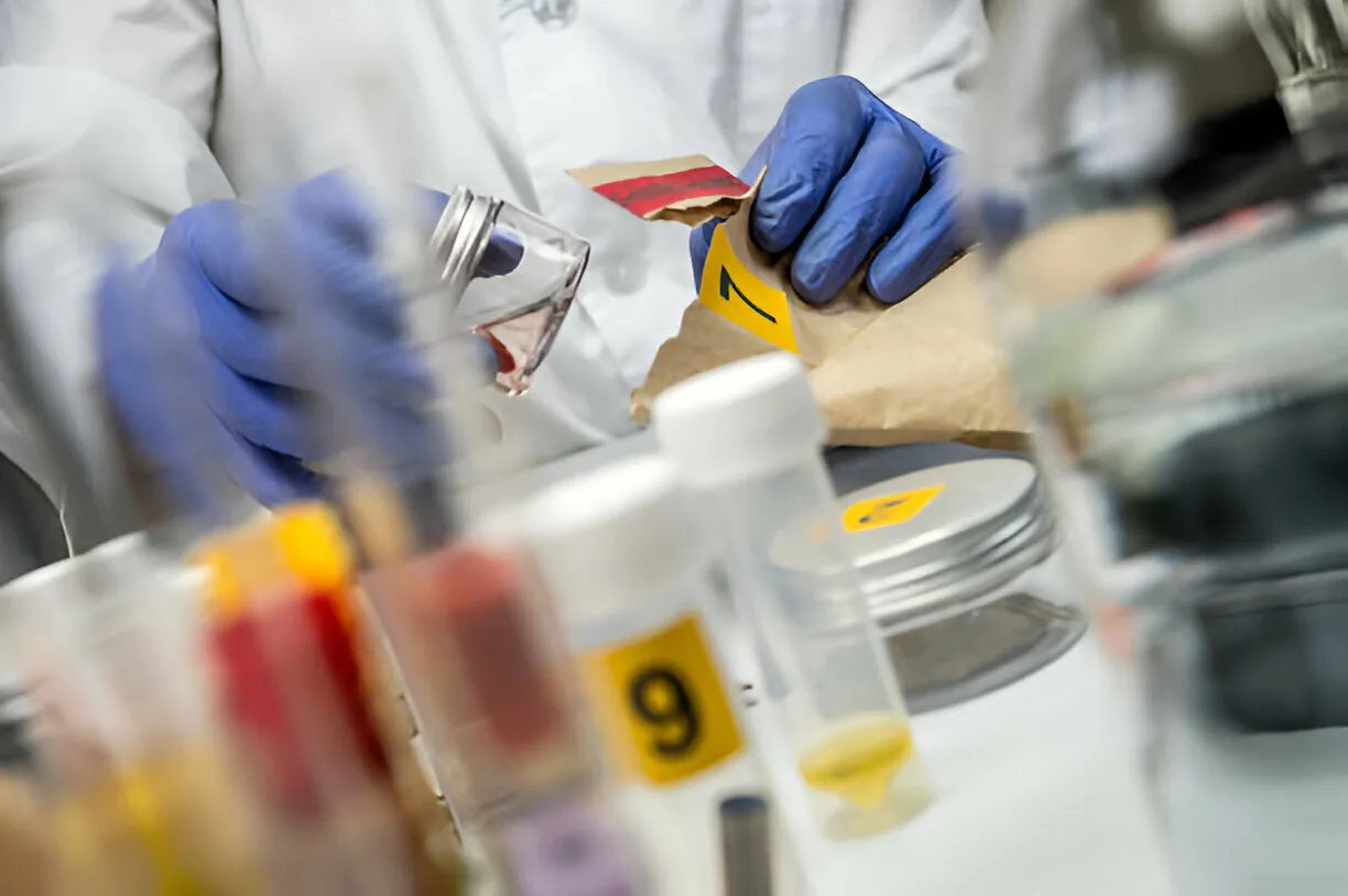 Ámbito pericial forense